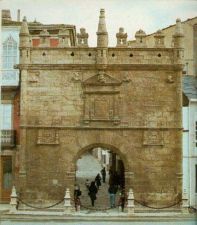 viveiro2